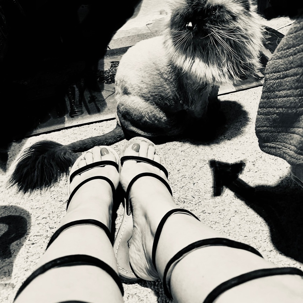 Free People Wrap Around Sandal